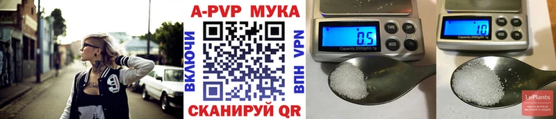Альфа ПВП СК КРИС  Кизел 
