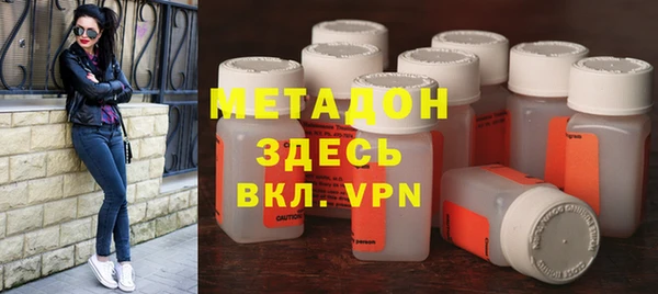 индика Алексин