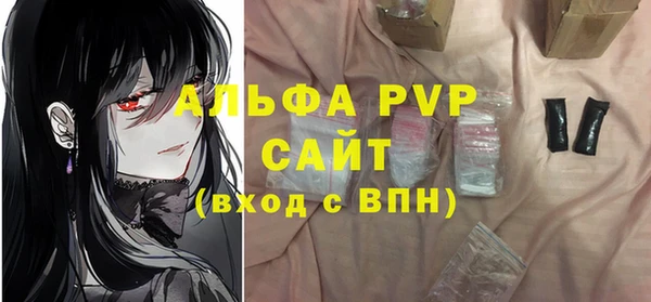 стаф Арсеньев