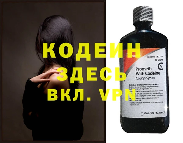 индика Алексин
