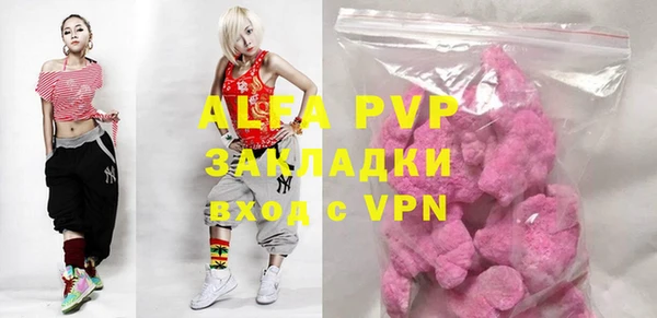 индика Алексин