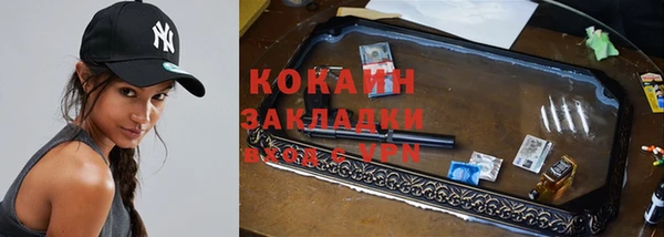 индика Аркадак