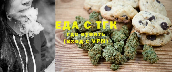 индика Аркадак