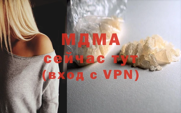 индика Алексин