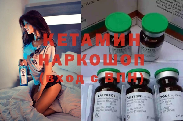 индика Алексин