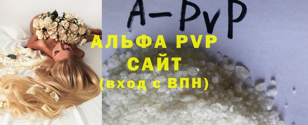 индика Алексин