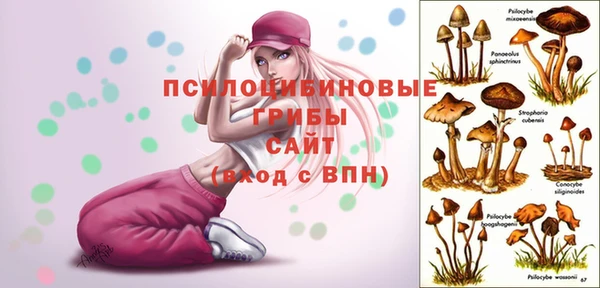 индика Алексин