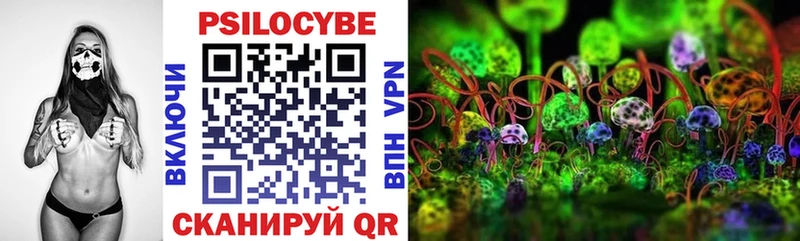 Галлюциногенные грибы прущие грибы  купить закладку  Кизел 